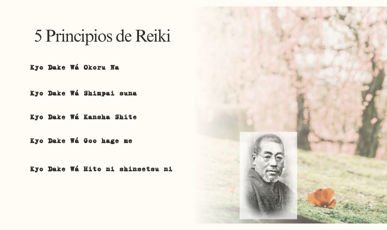 5 principios de reiki